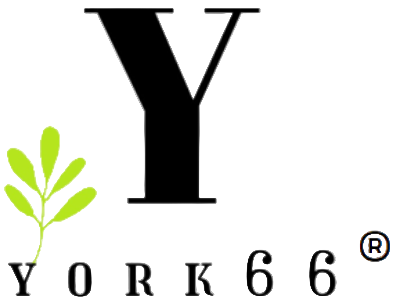 York66